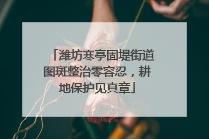 潍坊寒亭固堤街道图斑整治零容忍，耕地保护见真章